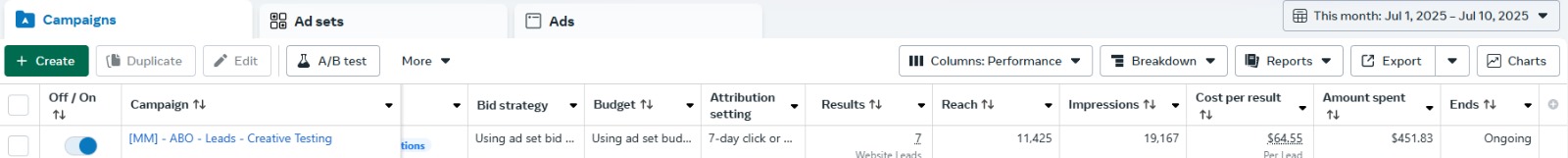 Results screenshot 3 - live Facebook Ads dashboard